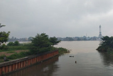 BPBD: Kota Jambi Waspadai Banjir Kiriman Dari Hulu Sungai Batanghari