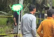 Diduga Gara-Gara Ditolak Cintanya, Pemuda di Tanjab Barat Bunuh diri