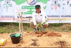 Wabup Katamso Pimpin Aksi Tanam Pohon Serentak