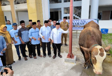 Gubernur Al Haris Serahkan Sapi Kurban Presiden Prabowo Seberat 930 Kg di Masjid Islamic Center
