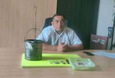 Polres Tanjabtim Ungkap Pelaku Penanaman Ganja Didalam Rumah