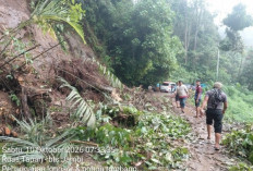 Gerak Cepat Kementerian PU Pulihkan Akses Jalan Nasional Ruas Tapan–Batas Jambi Usai Tertimbun Longsor