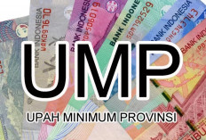 UMP Jambi 2026 Diprediksikan Bakal Naik Menjadi Segini