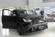 BYD ATTO 1 Jadi Mobil Listrik Paling Diminati di Jambi, Harga Mulai Rp213 Juta