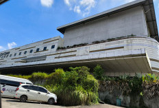 BUMD Siginjai Sakti Dorong Reaktivasi JCC, Disiapkan Jadi Pusat Ekonomi dan Mall Otomotif Kota Jambi