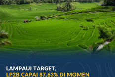 Lampaui Target, LP2B Capai 87,63% di Momen Peringatan 66 Tahun UUPA