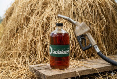 Respon Kehadiran Bahan Bakar Alternatif, Ditjen Migas Kawal Uji Teknis Bahan Bakar Bobibos