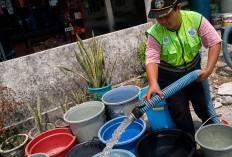 Sungai Batanghari Makin Keruh, Tirta Mayang Siapkan Mobil Tangki Gratis untuk Pelanggan
