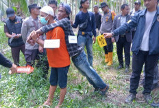 Begini Kronologi Dugaan Pembunuhan Berencana dari 19 Adegan Hasil Rekonstruksi