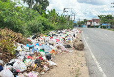 Sampah Mengular di Mendalo Darat,  Armada Terbatas Jadi Kendala