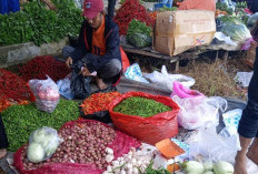 Harga Cabe Merah Mulai Turun, Berkat Cadangan Intervensi Pemerintah