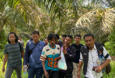 Warga SAD yang Hilang Pasca Bentrok di PT SAL Ditemukan Selamat