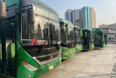 Layanan Operasional 24 Jam, 452 Bus Shalawat Siap Antar Jemaah Haji Indonesia ke Masjidil Haram