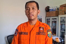  Karhutla Capai 1,7 Hektare, BPBD Muaro Jambi Perketat Pengawasan