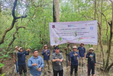 ANTARA Jambi - Pemkab Tanjab Barat Tanam Mangrove di Pangkal Babu