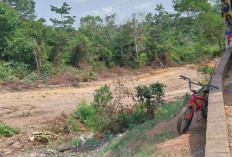 Jalan Khusus Batu Bara di MUBA Didukung Pemda Demi Keselamatan Warga
