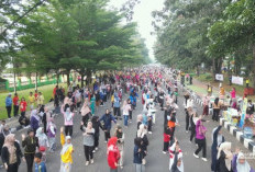 Ribuan Warga Tumpah Ruah Padati CFD Merangin, dari Senam Massal, Unjuk Gigi Atlet, hingga Job Fair