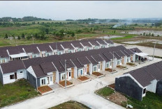 BRI Jadi Kontributor Terbesar Penyaluran Kredit Program Perumahan Nasional