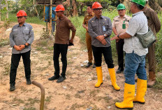 Kepala Bapenda Provinsi Jambi Lakukan Percepatan Optimalisasi Pajak Daerah
