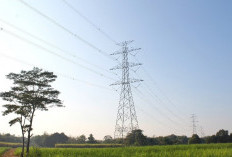 Awal Tahun 2026, Pemerintah Putuskan Tarif Listrik Tidak Naik