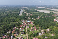 Realita di Kampung Halaman Alung DPO 58 Kg Sabu, Warga Sebut Peredaran Narkoba Terang-Terangan
