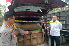 Polda Jambi Amankan 22.800 Liter BBM Ilegal, 8 Orang Jadi Tersangka