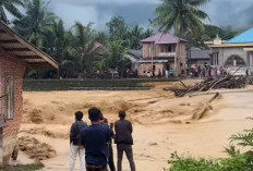 Curah Hujan di Bungo Sangat Tinggi, Sungai Meluap, Longsor Terjadi di Belasan Titik