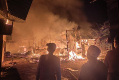 Api Mengamuk di Bungo, Belasan Rumah Warga Terbakar