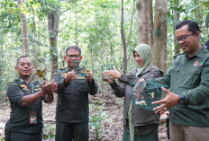Karantina Jambi Gagalkan Pengiriman Burung Tanpa Dokumen