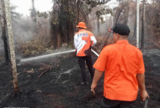 Dua Karhutla Terjadi di Geragai, 4,5 Hektar Lahan Terbakar