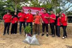 Peringati Bulan Bung Karno, DPC PDI Perjuangan Batang Hari Gelar Aksi Rawat Bumi di Danau Letang