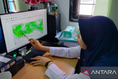 Panas Jambi Menyengat hingga 36 Derajat, Ini Penjelasan BMKG