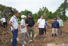 Ditjen LIP Kementan Tegaskan Pelaksanaan SID Oplah Jambi 2025 Sesuai Mekanisme
