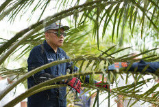 Siaga Hadapi Kemarau, PTPN IV PalmCo Perkuat Deteksi Dini Karhutla hingga Strategi Agronomi