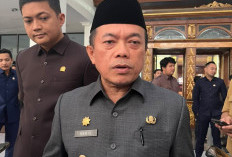 Al Haris Ungkap 75 Kasus Karhutla di Jambi, 80 Persen Diduga Sengaja Dibakar