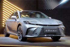 Membandingkan Prius Bekas vs Camry Hybrid Bekas, Mana yang Paling Pas untuk Anda?