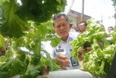 Lapas Jambi Canangkan Sentra Ketahanan Pangan Jadi Wadah Asimilasi WBP