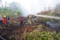 Danrem 042/Gapu Turun Langsung ke Londerang Padamkan Kebakaran Hutan dan Lahan