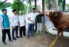 Wujud Nyata Ekonomi Berkeadilan: BSI Salurkan Lebih dari 24 Ribu Hewan Kurban, Naik 57%