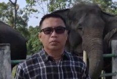 BKSDA Jambi Dorong Masyarakat Sekitar PIKG Terlibat Bangun Ekosistem