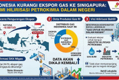 Indonesia Resmi Kurangi Ekspor Gas ke Singapura untuk Dorong Hilirisasi Dalam Negeri