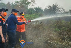 Dampingi Gubernur, Bupati Hurmin Ikut Padamkan Api di Lokasi Karhutla