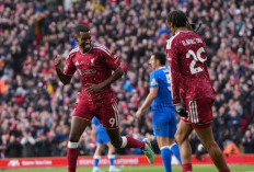Liverpool Amankan Tiga Poin Usai Menundukkan Brighton di Anfield