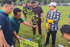 Tanam Pohon Kananga Pada Rangkaian APEKSI, Wali Kota Maulana Tekankan Sebagai Upaya Menciptakan “Kota Tangguh”