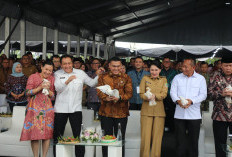 Di Momen Peringatan Hari Desa Nasional Tahun 2026, Wamen Ossy: Legalitas Hak Atas Tanah Penting