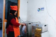 Dari Pala Menjadi Peluang, Program AURA BRI Peduli Perkuat Kapasitas Usaha Kelompok Wanita 