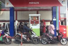 Harga Minyak Dunia Meroket 118 Dolar AS, Bagaimana Nasib BBM Pertalite, Ini Kata Menteri ESDM