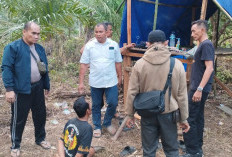 Hendak Transaksi Narkoba di Pondok Kebun, Seorang Pria di Muaro Jambi Diringkus Polisi