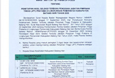 Seleksi JPT Pratama Batang Hari 2025 Selesai, Pengumuman Berdasarkan Nilai Terbaik, Ini Nama-Namanya