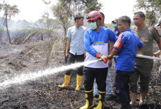Bupati Anwar Sadat Turun Langsung Padamkan Karhutla di Kuala Indah, Tegaskan Warga Stop Bakar Lahan